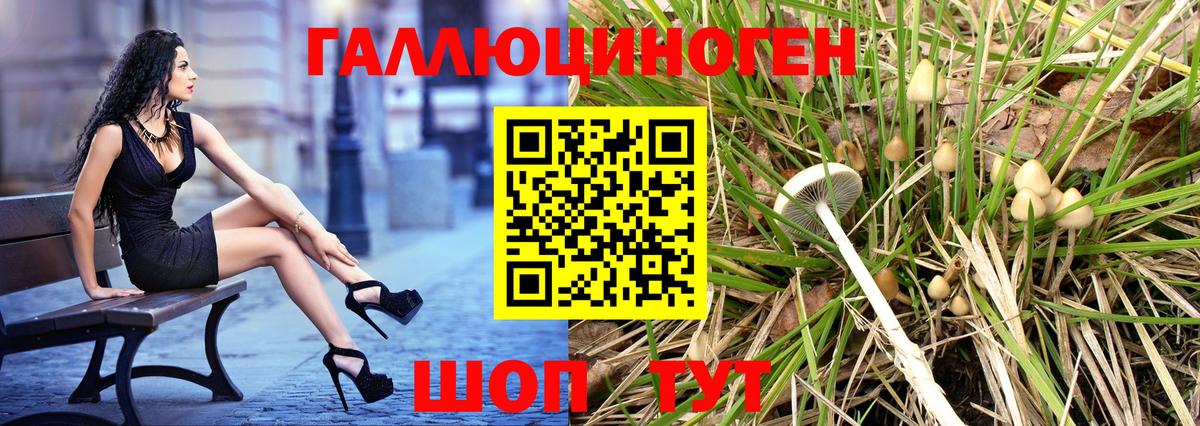 Людиново  Псилоцибиновые грибы ЛСД  Галлюциногенные грибы прущие грибы  Вход с VPN 